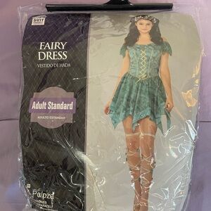 Fairy Dress Costume in Green